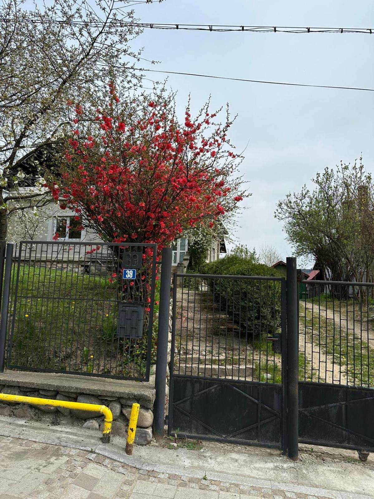 Casa Eroilor Villa Curtea de Argeş Buitenkant foto