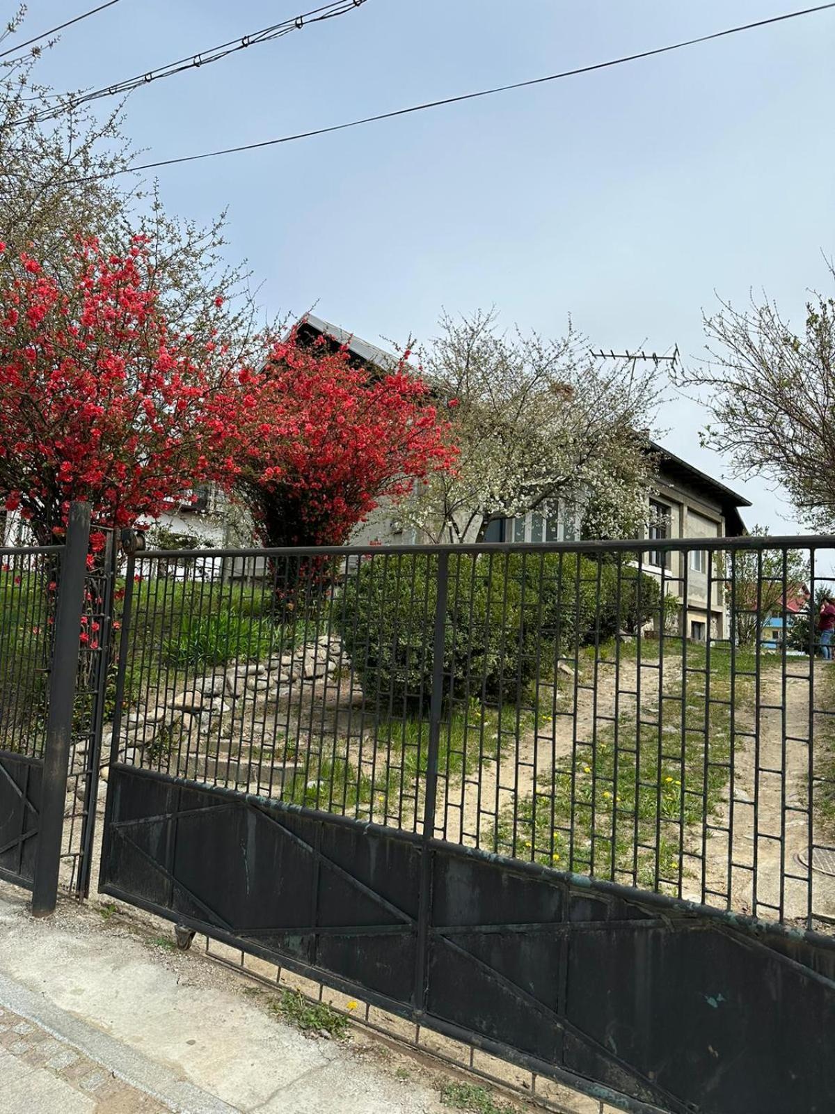 Casa Eroilor Villa Curtea de Argeş Buitenkant foto
